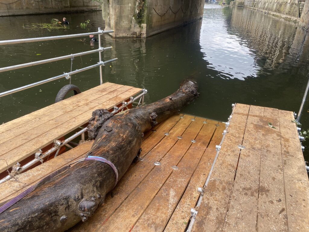 8x4 bath edwards diving tree removal bespoke ramp